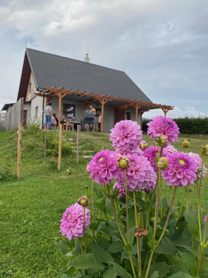 Apartmany U Mateje Dolní Morava Eksteriør billede